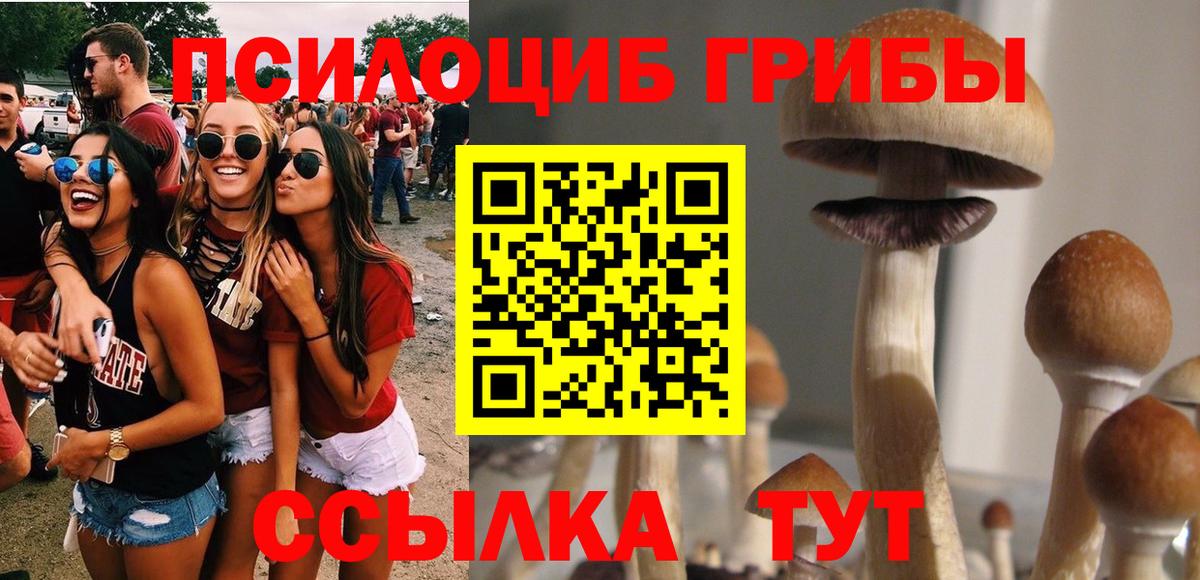 Псилоцибиновые грибы Psilocybine cubensis  Галлюциногенные грибы Magic Shrooms  Светлоград  Вход с VPN 